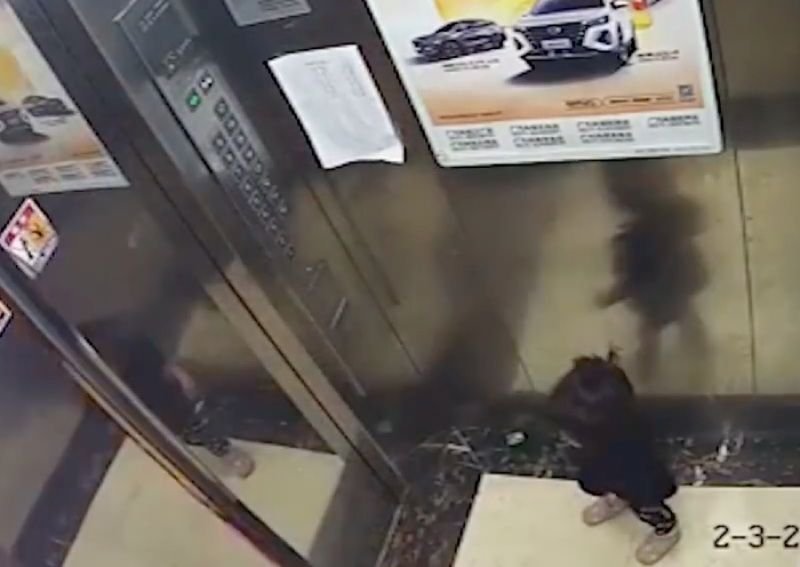 Orang Tua Wajib Waspada! Kisah Balita Tertinggal di Dalam Lift hingga Meninggal Dunia 2 Balita 2 Tahun Meninggal Dunia Jatuh dari Lantai 8 Usai Tertinggal Sendiri di Dalam Lift