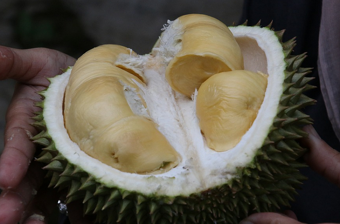 Daftar Acara Menarik dalam Rangka Memeriahkan HUT Banten ke-22, Festival Durian Jangan Sampai Terlewat