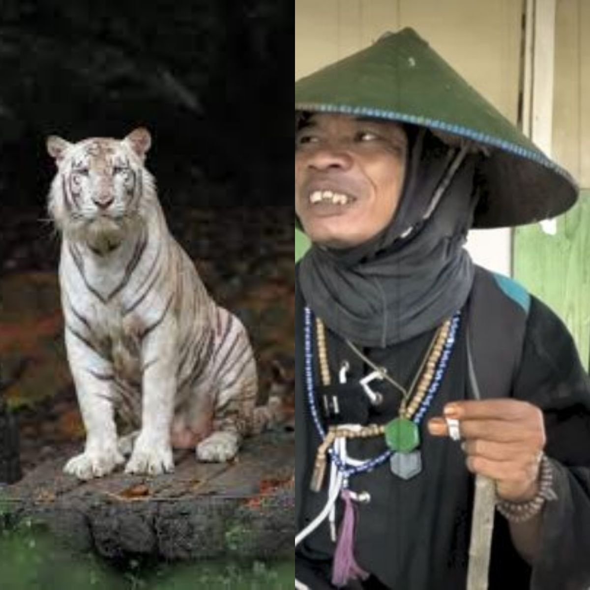 TERUNGKAP! Begini Cara Joko Kendil Mendapatkan Macan Putih 4 Siapa Joko Kendil? Musafir yang Mengaku Naik Macan Putih untuk ke Gunung Muria