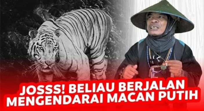 Mengenal Joko Kendil, Musafir Viral di TikTok yang Mengaku Mengendarai Harimau Putih 6 Mengenal Joko Kendil, Musafir Viral di TikTok yang Mengaku Mengendarai Harimau Putih