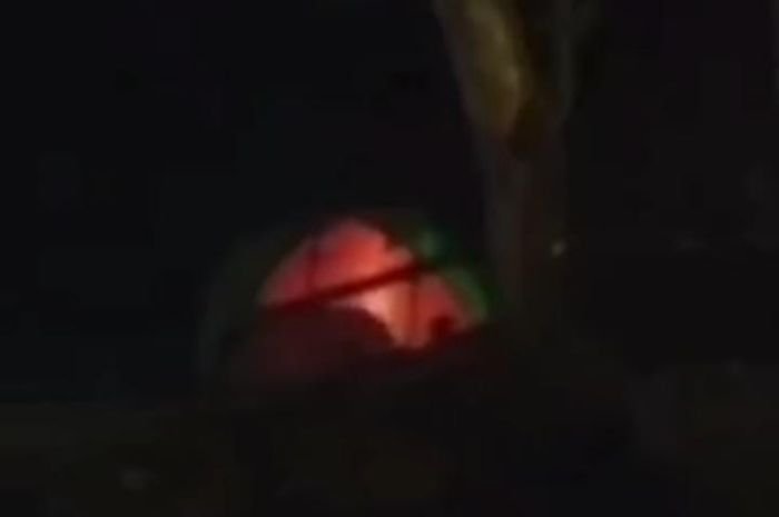 Viral Dua Sejoli Mesum dalam Tenda di Gunung Salak, Pengunjung Lain Serasa Nonton Live 'Konser'