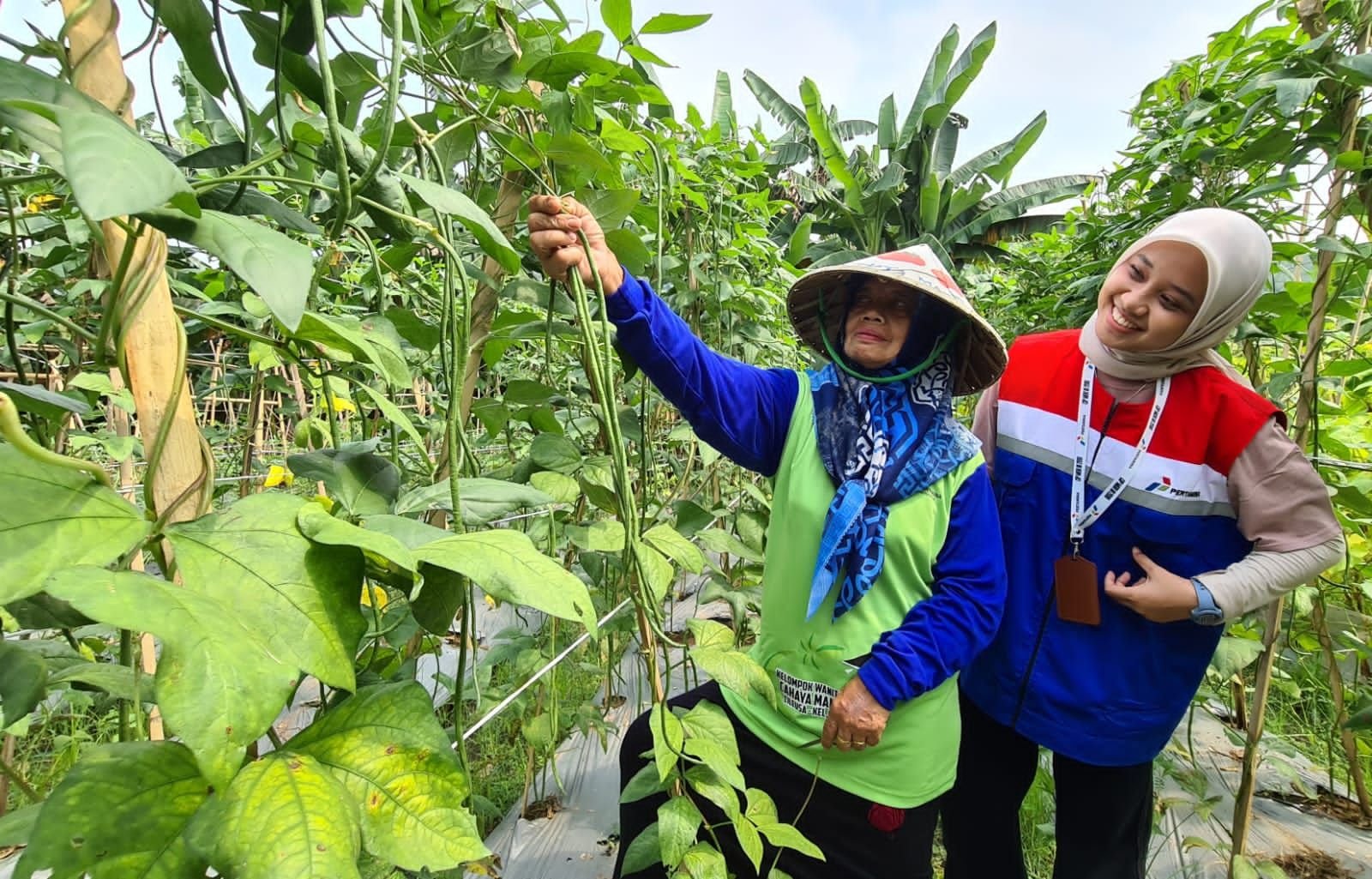 Peran Nyata Pertamina untuk Masyarakat Gerem Kota Cilegon, Bina KWT Secara Berkelanjutan