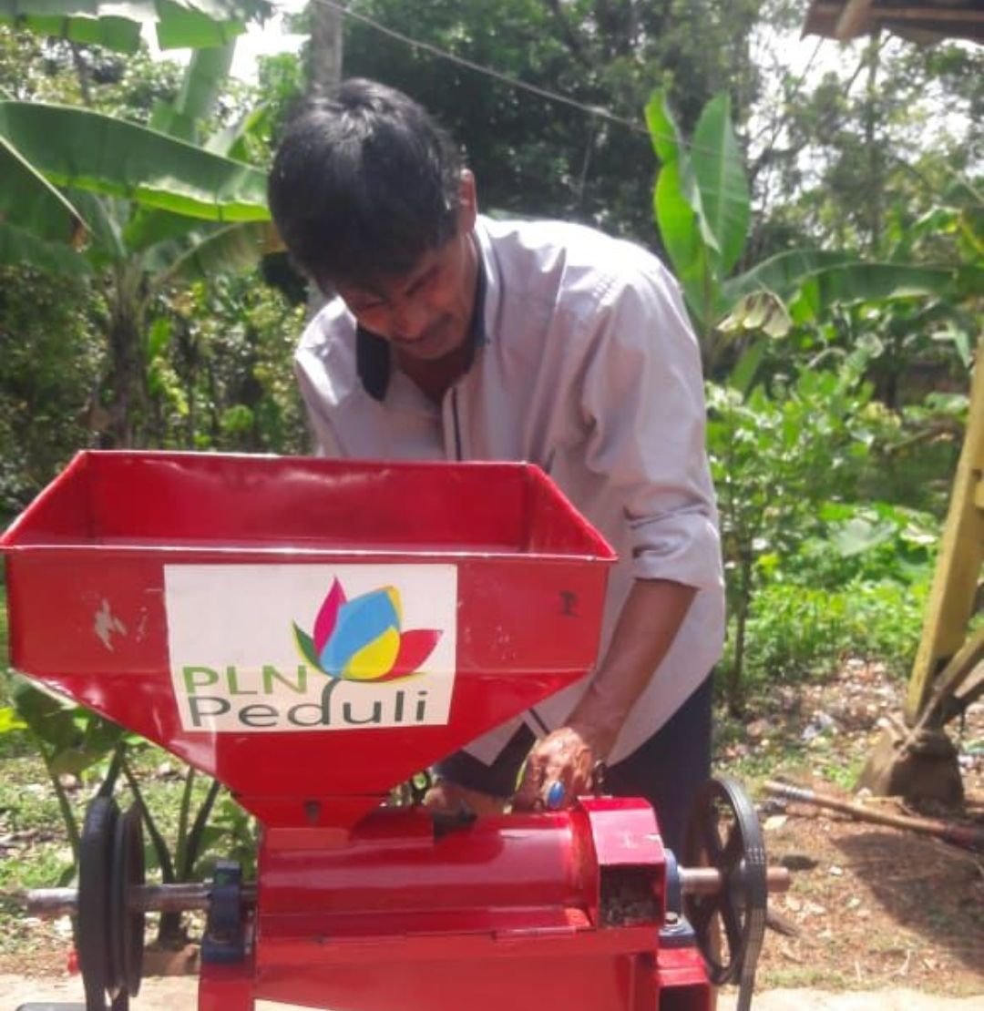 PLN Dorong UMKM Budi Daya Jamur Tembus Pasar Ekspor 1 PLN Dorong UMKM Budi Daya Jamur Tembus Pasar Ekspor