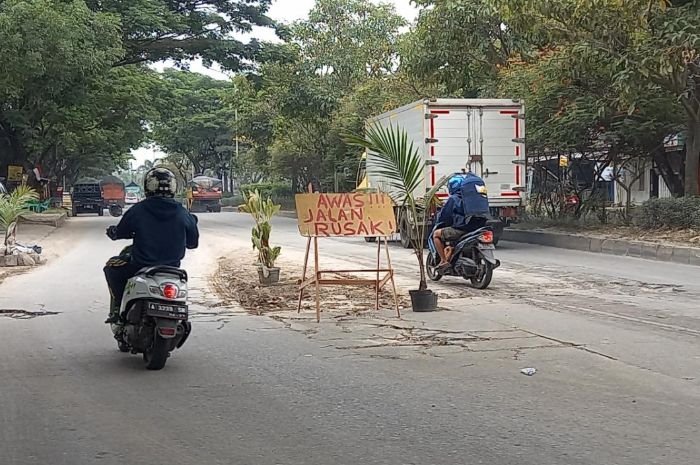 Kesal Sudah Sampai Ubun-ubun Kepala Akibat Jalan Rusak, Warga Pasang Pot Bunga di JLS Cilegon 1 Kesal Sudah Sampai Ubun-ubun Kepala Akibat Jalan Rusak, Warga Pasang Pot Bunga di JLS Cilegon