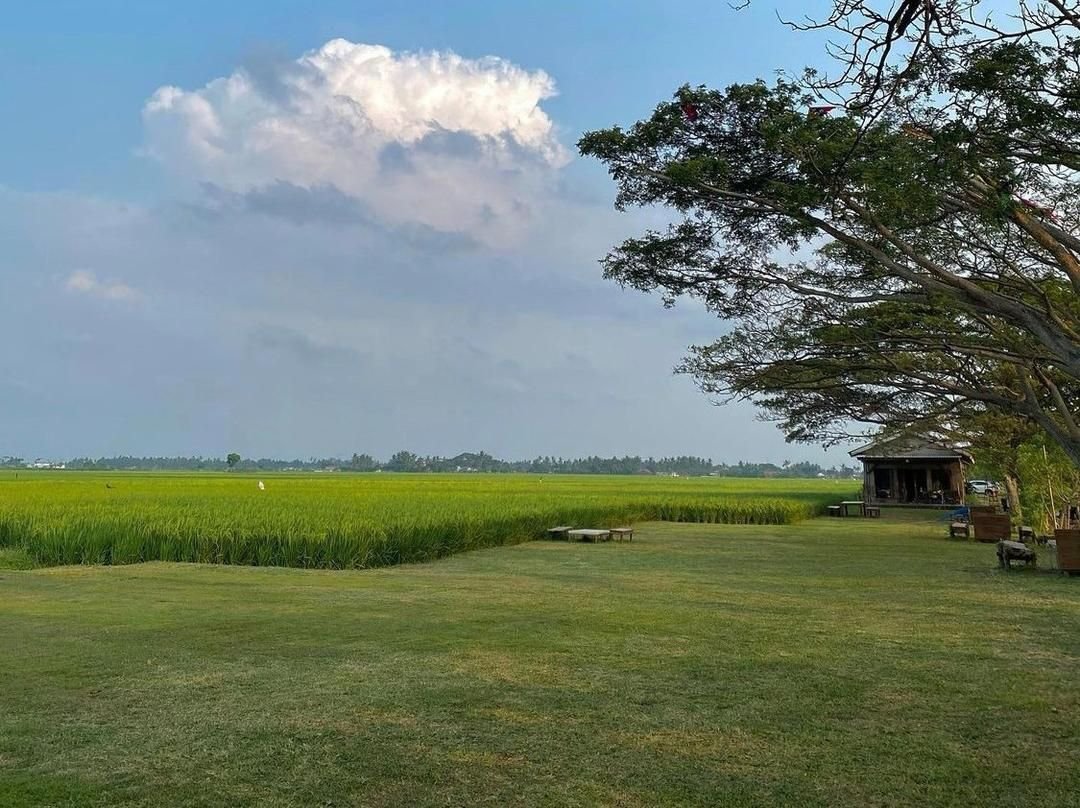 Kasus Berlanjut, Pemasangan Palang Besi di Wisata Lapangan Pinik Padi Padi Tangerang Dinilai Salahi Wewenang 1 Kasus Berlanjut, Pemasangan Palang Besi di Wisata Lapangan Pinik Padi Padi Tangerang Dinilai Salahi Wewenang