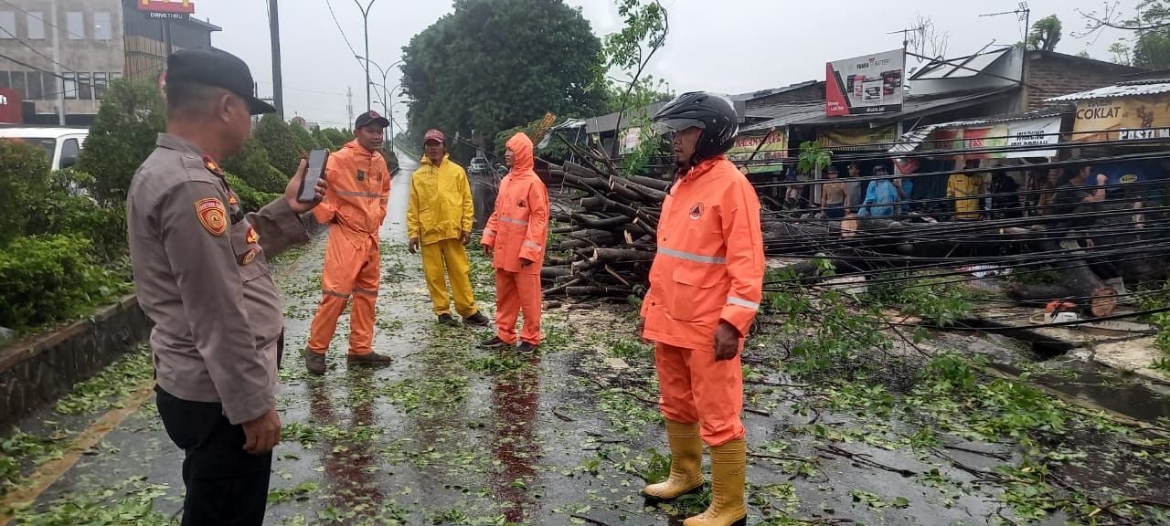 Ramalan BRIN Terjadi, Kota Cilegon Dikepung Pohon Tumbang Akibat Badai 4 Ramalan BRIN Terjadi, Kota Cilegon Dikepung Pohon Tumbang Akibat Badai