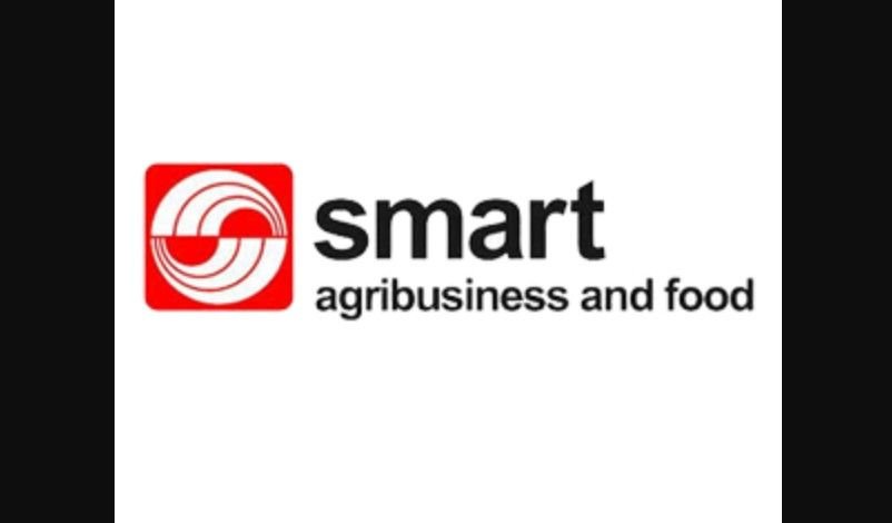 PT Sinarmas Agribusiness and Food Buka Lowongan Kerja Bagi Lulusan S1 Semua Jurusan, Segini Gajinya!