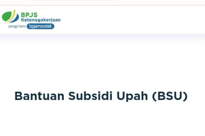 BSU Cair Lagi di Januari 2023? Coba Cek Namamu dengan Cara Ini dan Begini Jawaban dari Menko Perkonomian