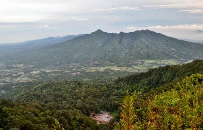 Jalur Pendakian Gunung Aseupan Pandeglang Ditutup Sementara Setelah Suara Ini Muncul