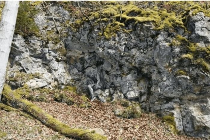 Tes IQ: 90 Persen Menyerah dalam Mencari Perempuan yang Bersembunyi pada Gambar, Apakah Anda Diantaranya?