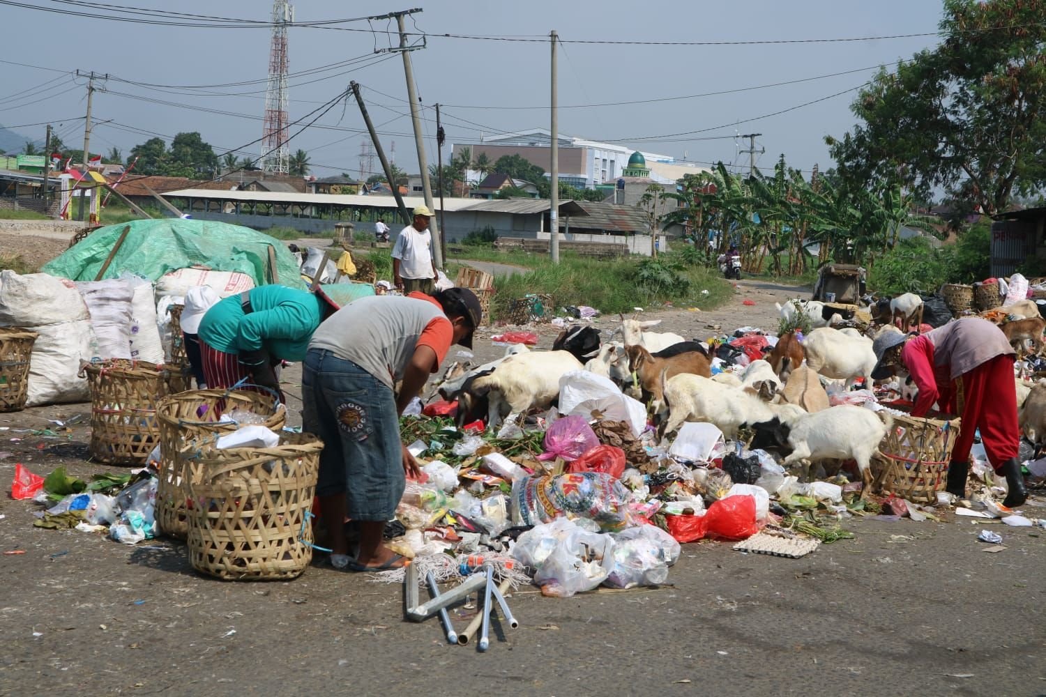 Curhat DLH Kota Cilegon Akui Penanganan Sampah Belum 100 Persen, Aliran Air dan Sungai Paling Ribet 2 Curhat DLH Kota Cilegon Akui Penanganan Sampah Belum 100 Persen, Aliran Air dan Sungai Paling Ribet