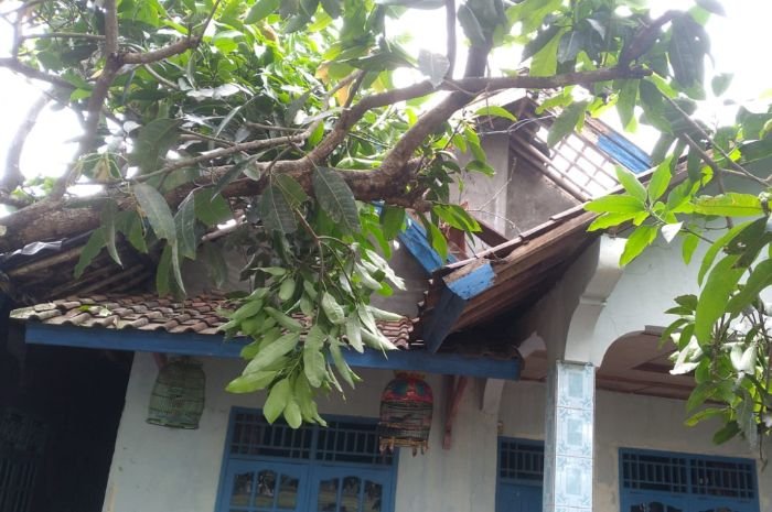 Angin Puting Beliung Terjang Empat Desa di Kopo Kabupaten Serang, Ratusan Rumah Alami Kerusakan 4 Angin Puting Beliung Terjang Empat Desa di Kopo Kabupaten Serang, Ratusan Rumah Alami Kerusakan