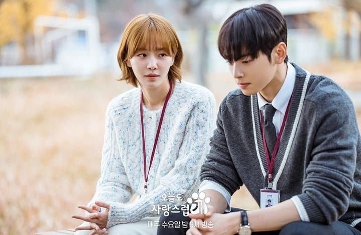 TERBARU! A Good Day To Be A Dog Episode 5 dan 6: Spoiler Lengkap dengan Jadwal Tayang 5 TERBARU! A Good Day To Be A Dog Episode 5 dan 6: Spoiler Lengkap dengan Jadwal Tayang