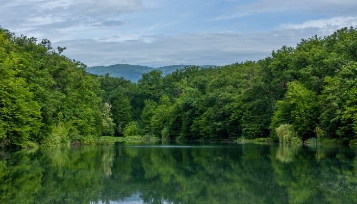 Situ Ranca Gede Jakung Hilang Jadi Pabrik, Kejati Banten Periksa Sejumlah Pejabat Pemkab Serang 7 Situ Ranca Gede Jakung Hilang Jadi Pabrik, Kejati Banten Periksa Sejumlah Pejabat Pemkab Serang