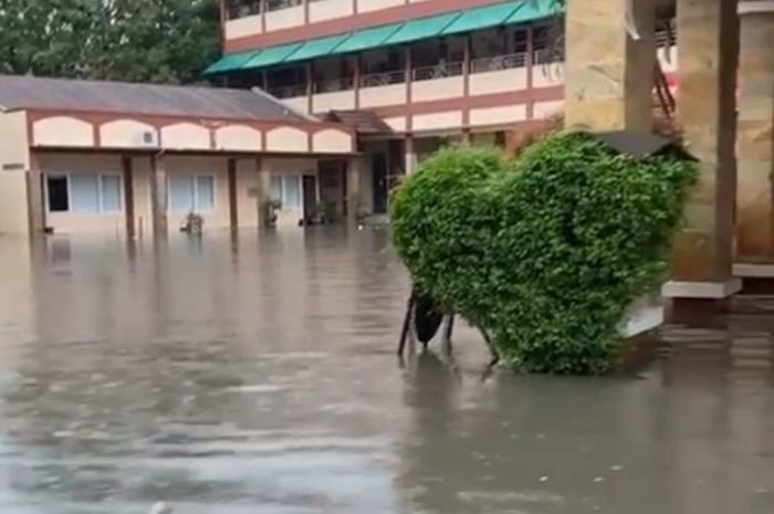 Kampus Faletehan Terdampak Banjir, BPBD Kabupaten Serang Malah Ngaku Tidak Tahu 1 Kampus Faletehan Terdampak Banjir, BPBD Kabupaten Serang Malah Ngaku Tidak Tahu