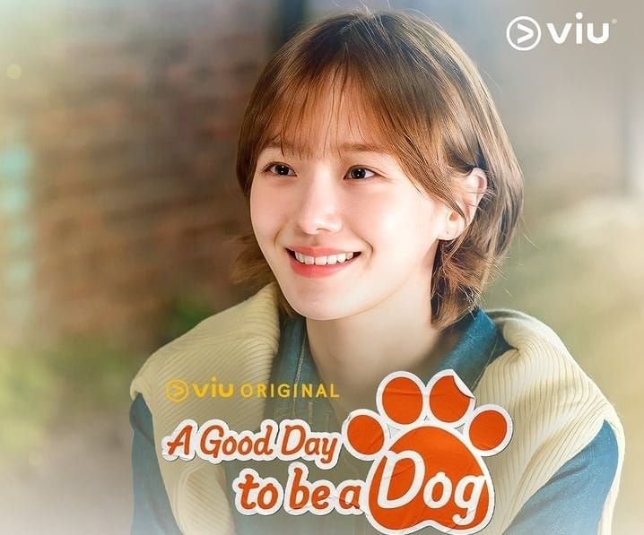UPDATE! A Good Day To Be A Dog Episode 10 11 dan 13: Jadwal Tayang hingga Tamat 8 UPDATE! A Good Day To Be A Dog Episode 10 11 dan 13: Jadwal Tayang hingga Tamat
