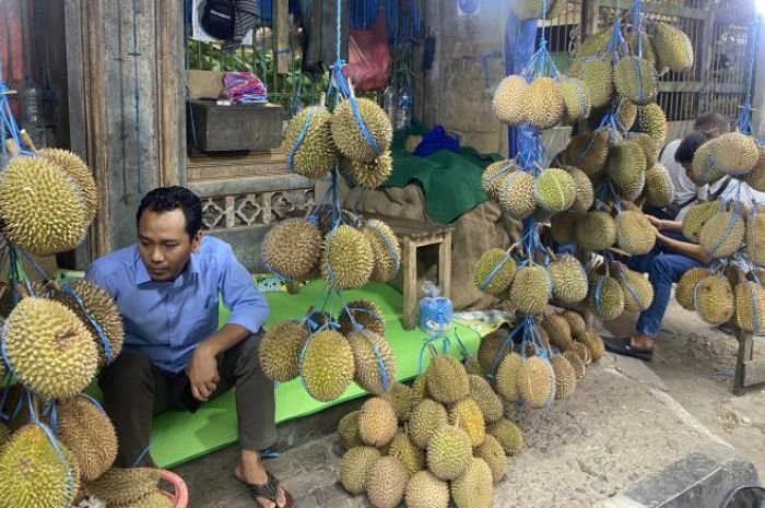 Pemburu Durian Merapat! Gang Kibun di Lebak Jadi Surganya Produk Lokal yang Kualitasnya Berani Diadu 5 Pemburu Durian Merapat! Gang Kibun di Lebak Jadi Surganya Produk Lokal yang Kualitasnya Berani Diadu