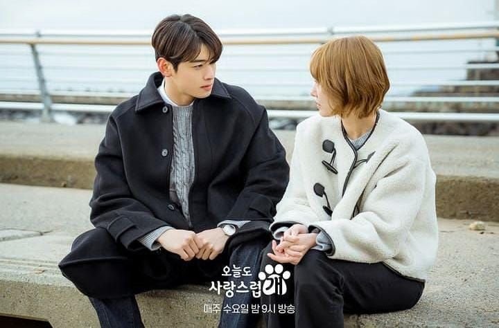 A Good Day To Be A Dog Episode 11 Sub Indo: Cha Eun Woo dan Park Gyu Young Saling Mendukung 7 A Good Day To Be A Dog Episode 11 Sub Indo: Cha Eun Woo dan Park Gyu Young Saling Mendukung