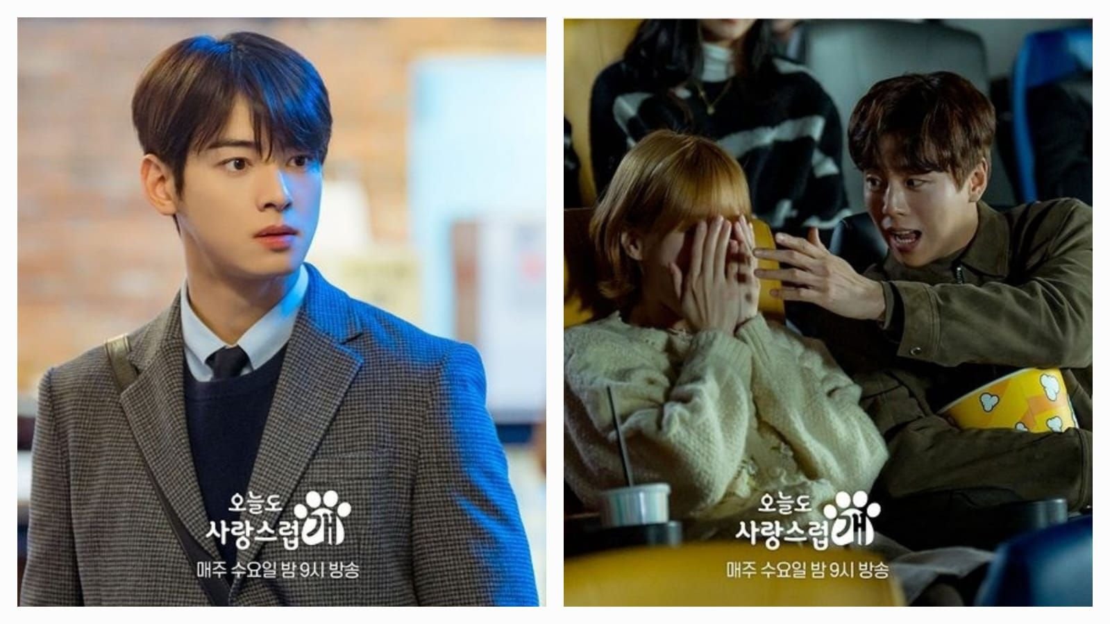 Preview Drama A Good Day to be A Dog Episode 12 Sub Indo Lengkap dengan Jam Tayang 4 Preview Drama A Good Day to be A Dog Episode 12 Sub Indo Lengkap dengan Jam Tayang