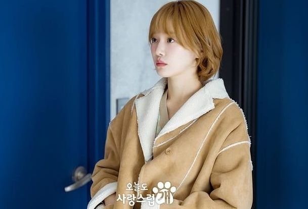 A Good Day To Be A Dog Episode 13 Sub Indo: Spoiler Lengkap dengan Jadwal Tayang 3 A Good Day To Be A Dog Episode 13 Sub Indo: Spoiler Lengkap dengan Jadwal Tayang