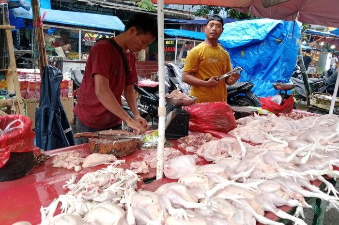 Tahun Baru, Harga Daging Ayam di Pasar Rangkasbitung Langsung Meroket