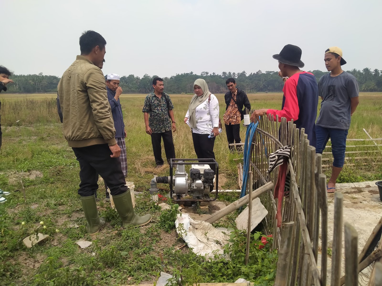 Dampak El Nino, 1.000 Hektar Sawah di Kabupaten Pandeglang Dicover Bantuan Benih Siap Tanam