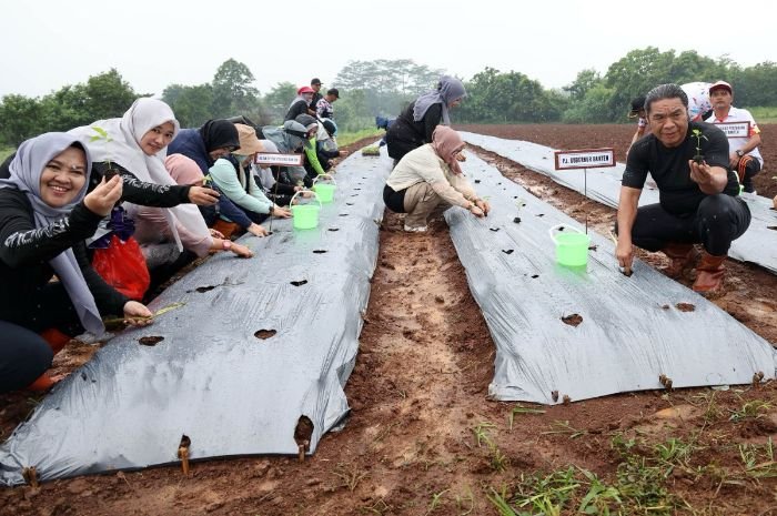 Pj Gubernur Banten Sudah Siapkan Trik Khusus Kendalikan Inflasi, Semua Warga Siap-siap Harus Terlibat