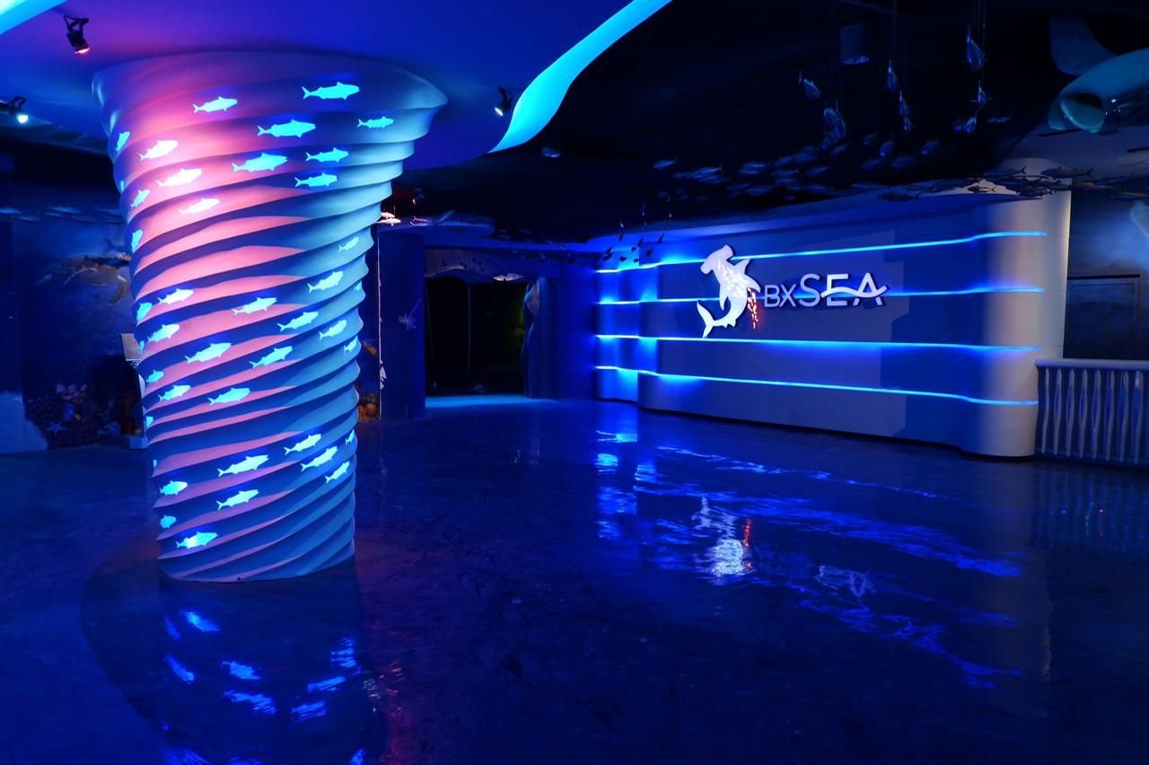 Mengenal BXSea Bintaro Akuarium Raksasa di Tangsel: Dihuni 25 Ribu Biota Laut dari Berbagai Belahan Bumi, Cek Tarif Masuknya Disini!