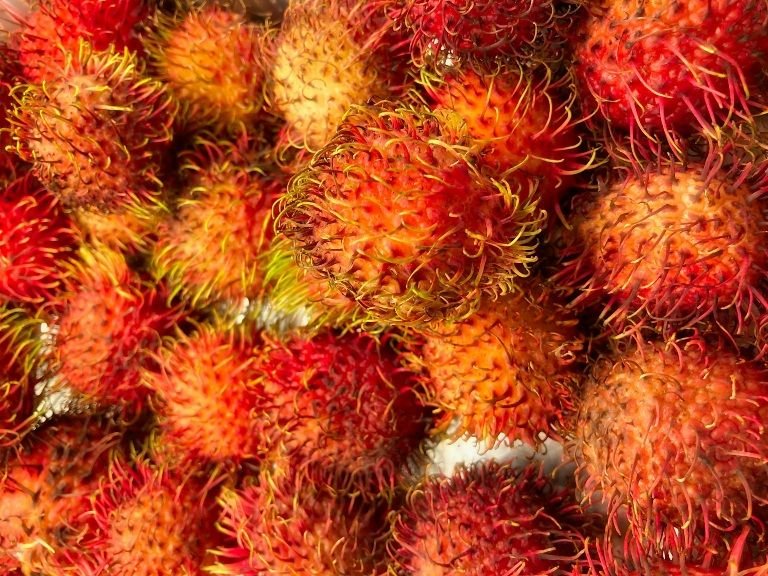 Rambutan Parakan Diusulkan Jadi Khas Buah Kabupaten Tangerang