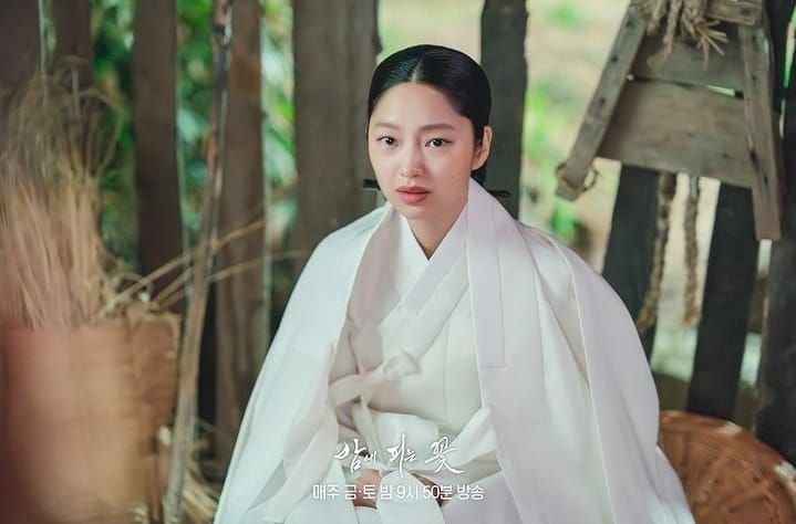 Knight Flower Episode 5 Sub Indo: Spoiler Lengkap dengan Link Nonton