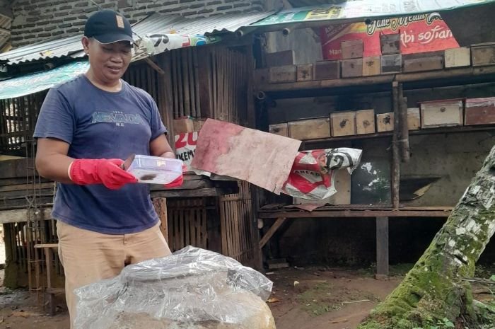 Kisah Sofian Sauri, Pria asal Pandeglang yang Raup Jutaan dari Budidaya Lebah Trigona Itama
