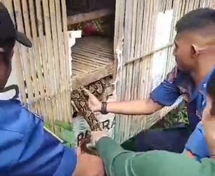BPBDPK Kabupaten Pandeglang Berhasil Amankan Penyebab Hilangnya Ayam Peliharaan Warga Majasari