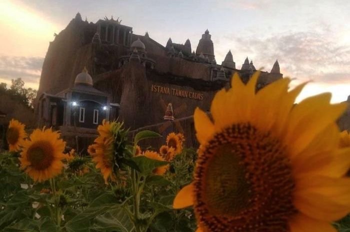 Istana Taman Cadas di Cilegon, Bekas Galian Pasir yang Disulap Jadi Obyek Wisata Seperti di Negeri Dongeng