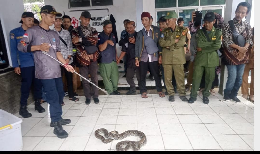 Bukan Hanya Padamkan Kebakaran, BPBDPK Kabupaten Pandeglang Juga Bisa Tangani Gangguan Satwa Liar