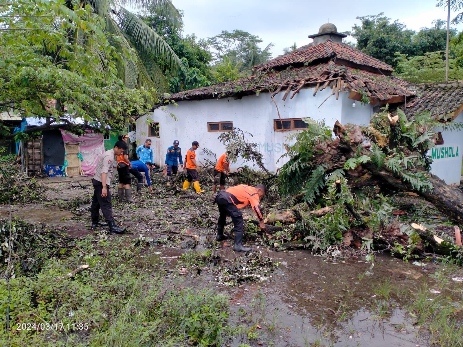 Dampak Cuaca Ekstrem, Musala Hingga Madrasah di Kabupaten Serang Rusak Tertimpa Pohon 1 Dampak Cuaca Ekstrem, Musala Hingga Madrasah di Kabupaten Serang Rusak Tertimpa Pohon