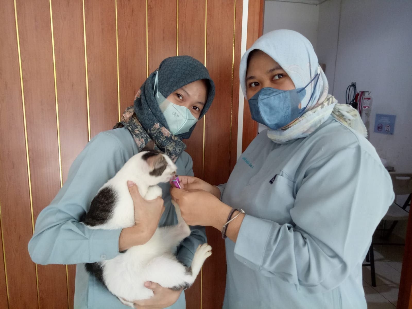 Cocok untuk Perawatan Hewan, Klinik Hewan Amigo Vet Clinigi Dilengkapi Alat Hematologi 2 Cocok untuk Perawatan Hewan, Klinik Hewan Amigo Vet Clinigi Dilengkapi Alat Hematologi