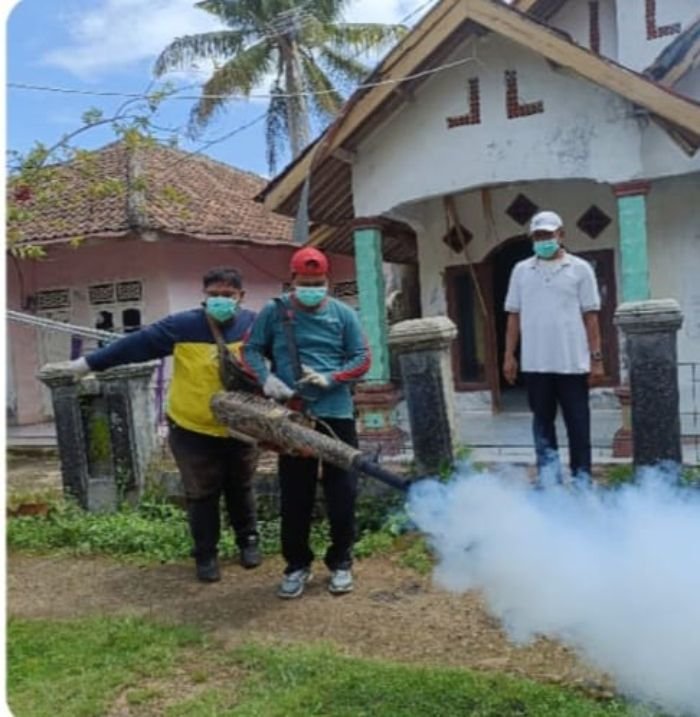 Positif DBD, Lima Anak di Kabupaten Serang Meninggal Dunia 9 Positif DBD, Lima Anak di Kabupaten Serang Meninggal Dunia