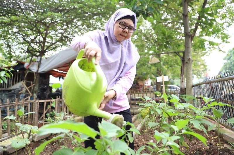 KWT Srikandi Kota Tangerang Sulap Lahan Tidur Jadi Produktif, Hasil Panen Dibagikan ke Warga Secara Gratis