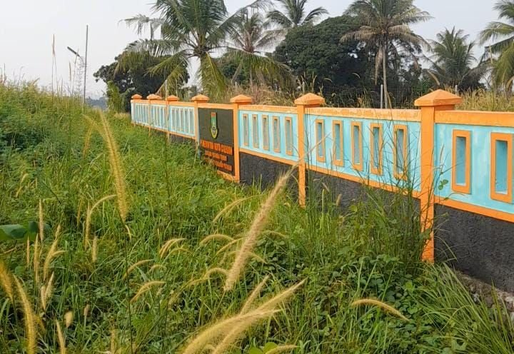Telan Anggaran Miliaran, Kawasan Pertanian Terpadu Milik Pemkot Cilegon Ditumbuhi Tanaman Liar Setinggi 1 Meter 1 Telan Anggaran Miliaran, Kawasan Pertanian Terpadu Milik Pemkot Cilegon Ditumbuhi Tanaman Liar Setinggi 1 Meter