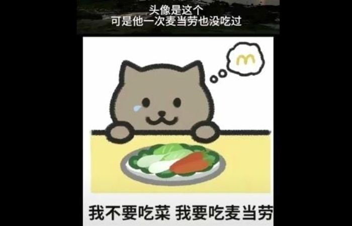 Tan Zhu Tak Bersalah? Update Kasus Fat Cat, Gamer Asal China yang Berakhir Tragis Ternyata Penuh Plot Twist