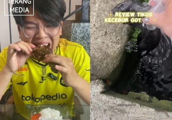 Viral Gegara Review Makan Bangkai Tikus dari Got, TikToker Ini Banjir Hujatan 10 Viral Gegara Review Makan Bangkai Tikus dari Got, TikToker Ini Banjir Hujatan