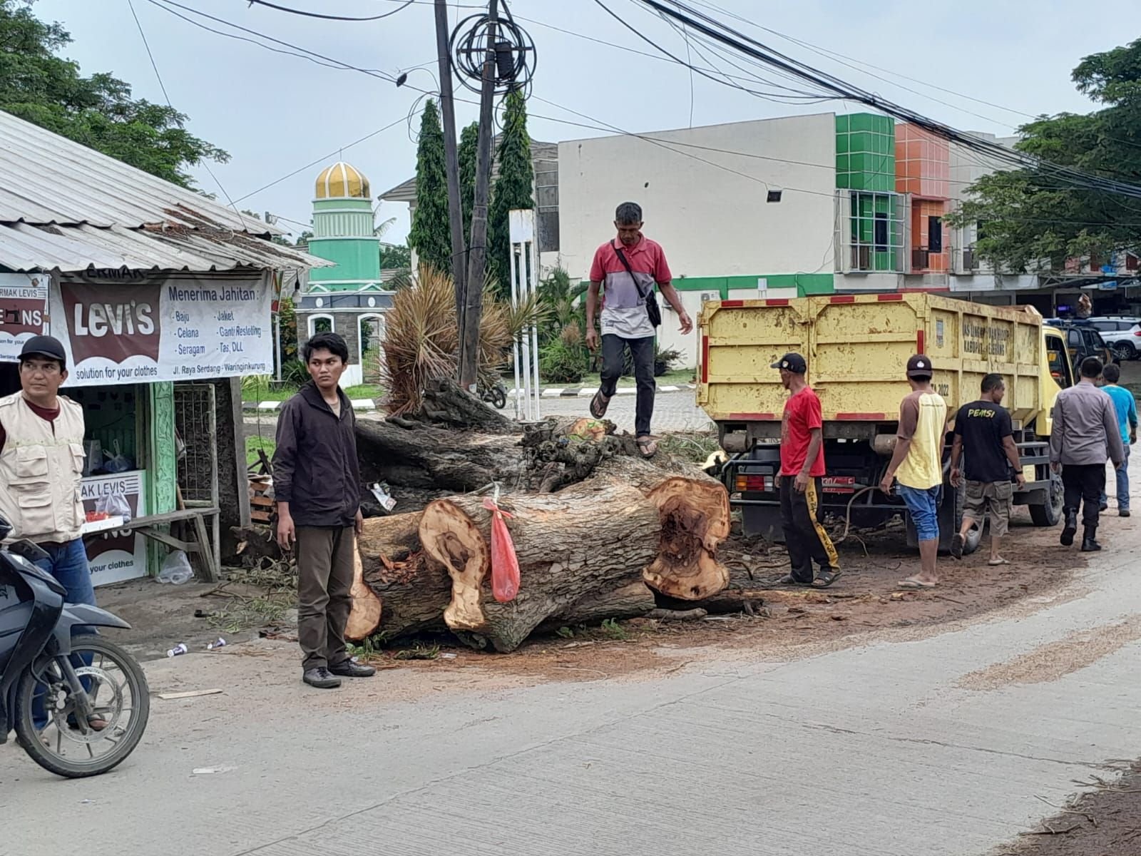 Pohon Besar di Jalan Serdang-Waringinkurung Tumbang, Warung Hingga Mobil Tertimpah 3 Pohon Besar di Jalan Serdang-Waringinkurung Tumbang, Warung Hingga Mobil Tertimpah