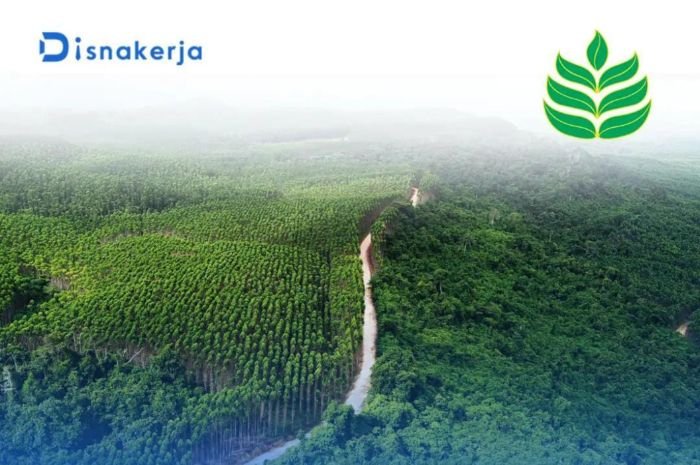 Info Loker PT Santan Borneo Abadi 2024, Catat Persyaratan untuk Langsung Ikut Seleksi 1 Info Loker PT Santan Borneo Abadi 2024, Catat Persyaratan untuk Langsung Ikut Seleksi