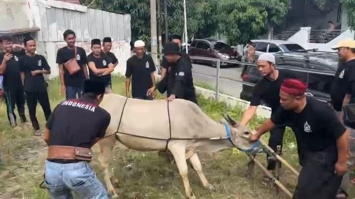Puluhan Juru Sembelih Dibekali Jadi Juleha di Kota Serang 1 Puluhan Juru Sembelih Dibekali Jadi Juleha di Kota Serang