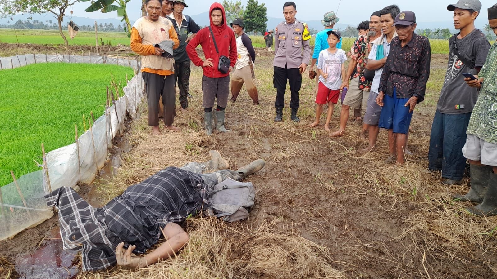 Pergi ke Sawah Tak Kunjung Pulang, Warga Padarincang Ditemukan Meninggal Dunia
