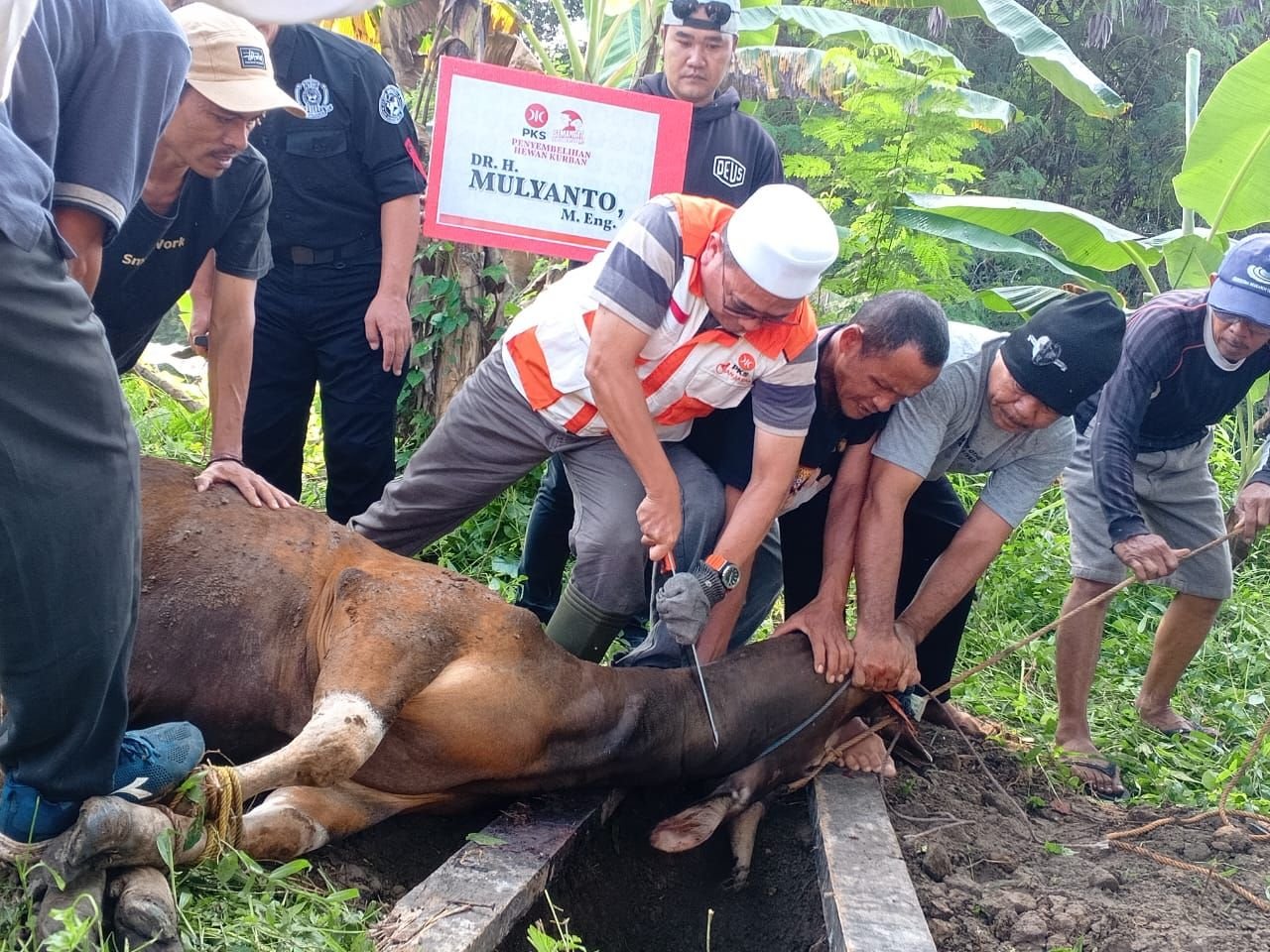 Hari Kedua Idul Adha, DPW PKS Banten Berbagi 1.000 Paket Daging Kurban 1 Hari Kedua Idul Adha, DPW PKS Banten Berbagi 1.000 Paket Daging Kurban