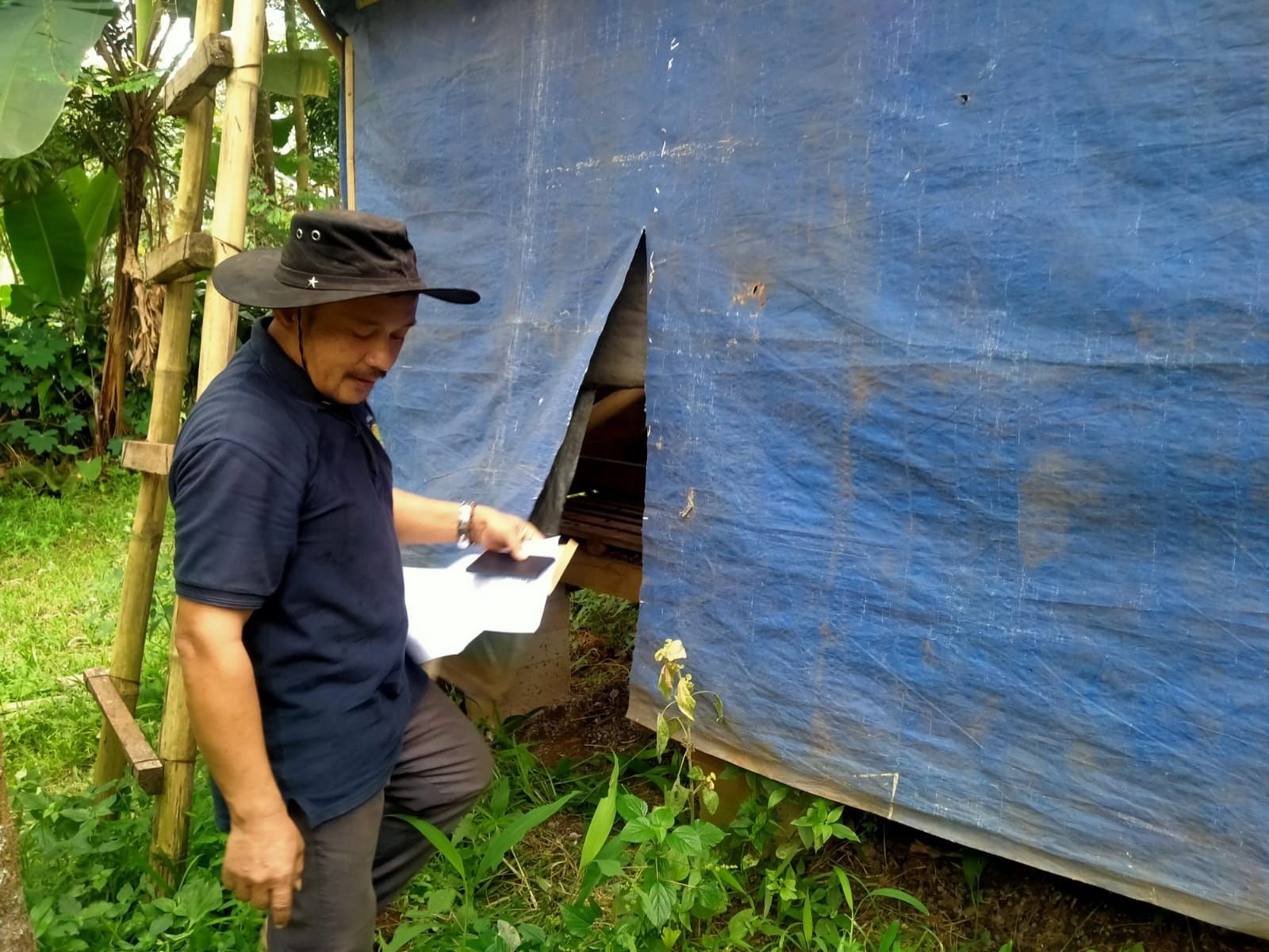 Niat Hati Ingin Dibudidaya, Domba Seharga Rp 20 Juta Raib Digondol Maling 6 Niat Hati Ingin Dibudidaya, Domba Seharga Rp 20 Juta Raib Digondol Maling