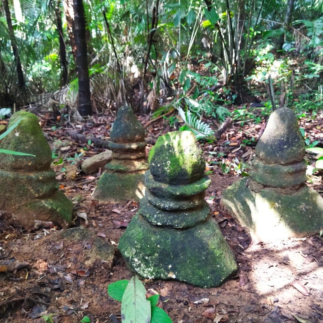 Petugas TNUK Temukan Arca dan Situs di Kawasan TNUK 3 Petugas TNUK Temukan Arca dan Situs di Kawasan TNUK