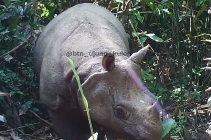 Tiga Tempat Tereksotis di Banten, Wajib Dikunjungi Minimal Sekali Seumur Hidup