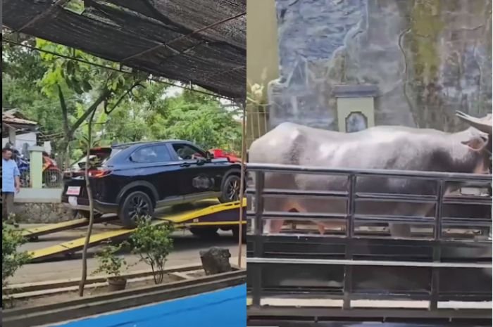 Fantastis! Pria di Pati ini Berikan Seserahan Lamaran Mewah Hingga Ratusan Juta, Warganet: Tunggu 4 Bulan Selanjutnya